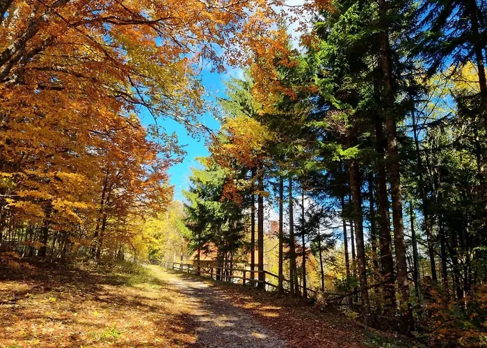 בית נופש Starry Laz Mountain House