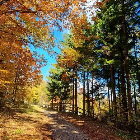 別荘 Starry Laz Mountain House