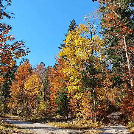 Starry Laz Mountain House 別荘