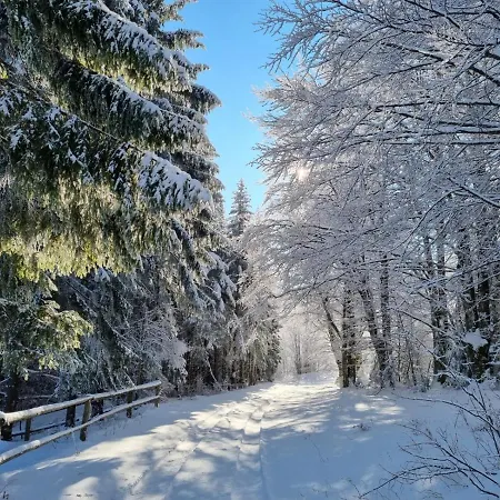 別荘 Starry Laz Mountain House *