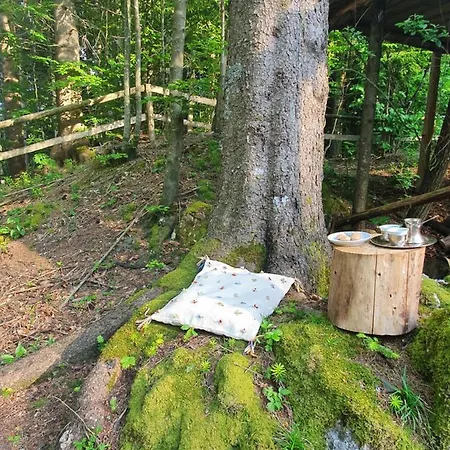 Starry Laz Mountain House *